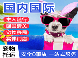 张掖甘州机场货运国际宠物托运 【国
